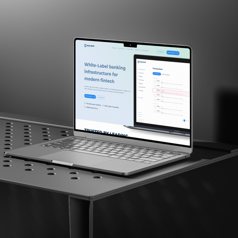 Paylance — Global Payment Infrastructure and Fintech Platform